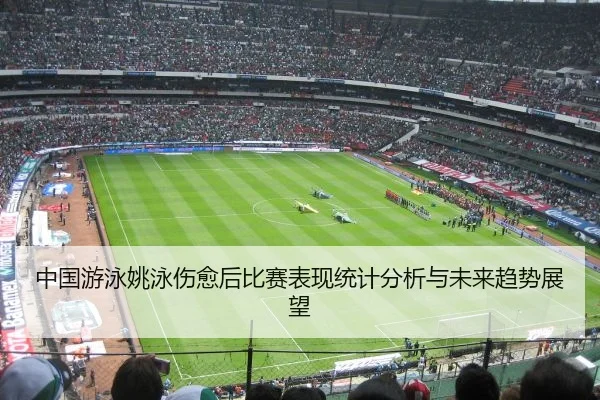 中国游泳姚泳伤愈后比赛表现统计分析与未来趋势展望